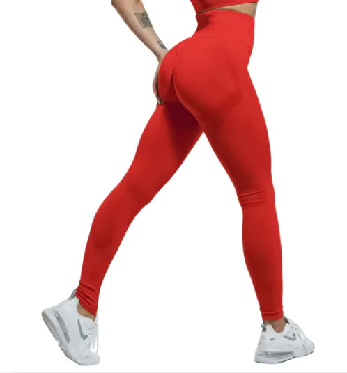 Women's Workout Tights