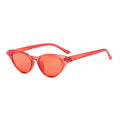 Cat Eye Women's Sunglasses - New Plastic Style